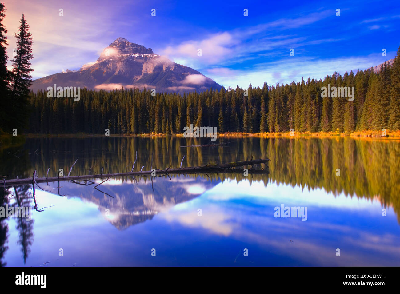 Pilot Pond in Banff, Alberta, Canada Stock Photo Alamy