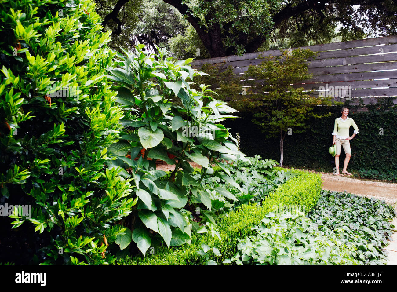 Mature women garden fence hi-res stock photography and images - Alamy