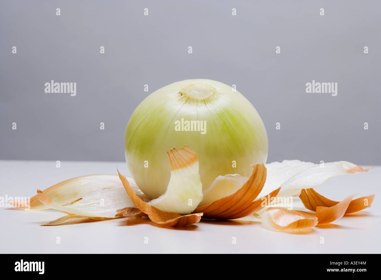 Peeled onion Stock Photo