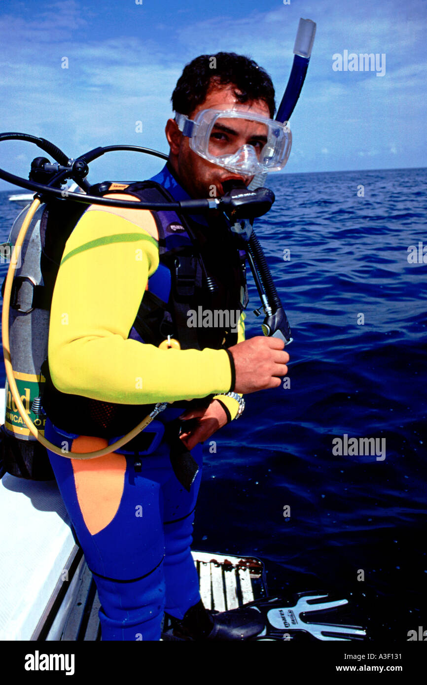 Scuba diving at Laje de Santos Southeast Brazil Stock Photo