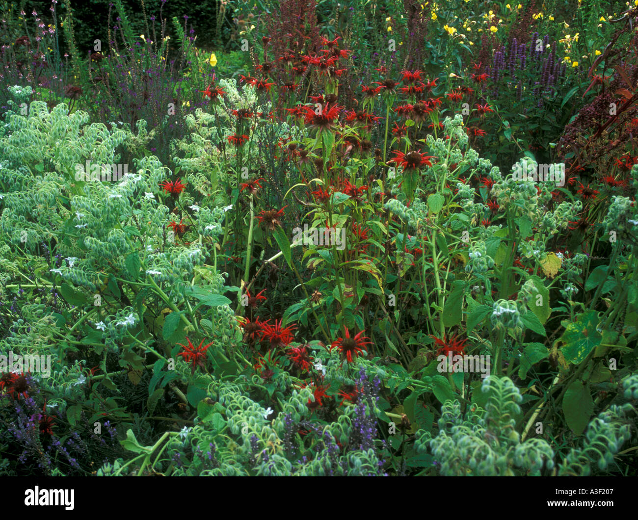 Garden border setting hi-res stock photography and images - Alamy