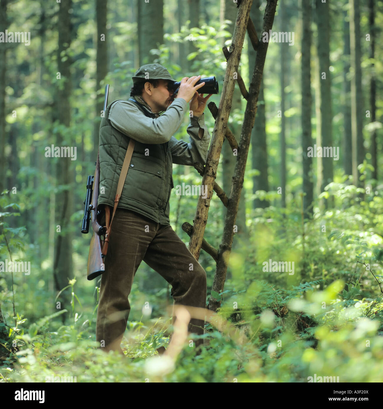 MR HUNTER WITH BINOCULARS IN THE FOREST OF THE VOSGES MOUNTAINS ALSACE