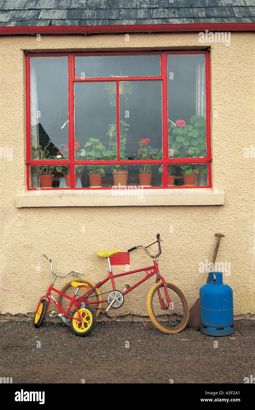 bike stand so you can pedal