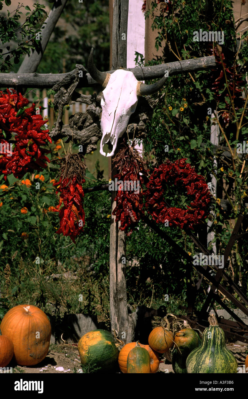 New mexico chile farm hi-res stock photography and images - Alamy