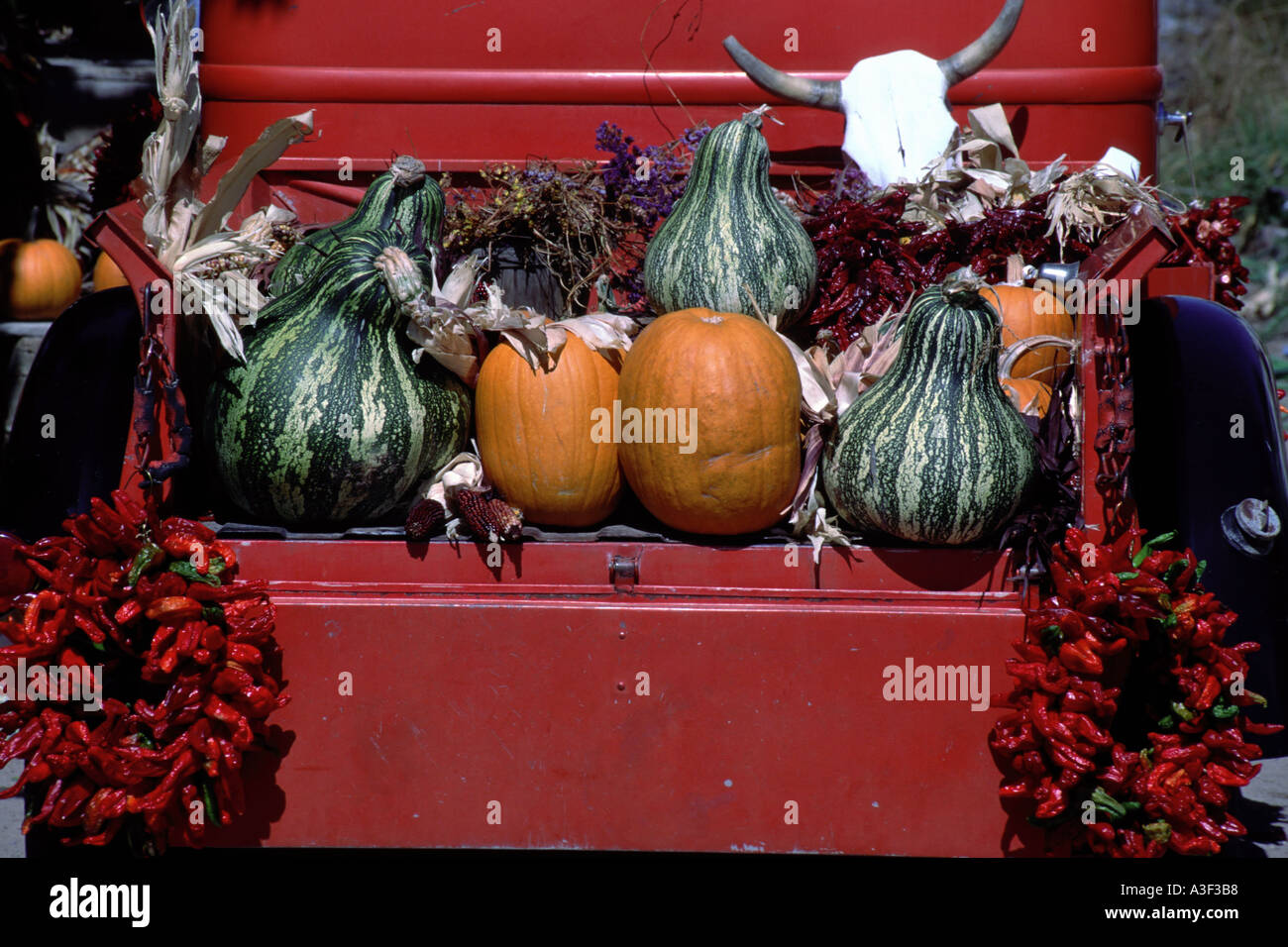 New mexico chile farm hi-res stock photography and images - Alamy