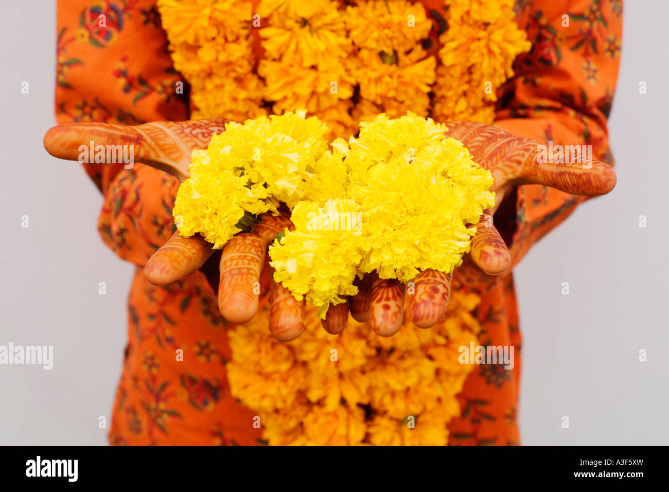 Mid section view of a woman holding Marigolds Stock Photo