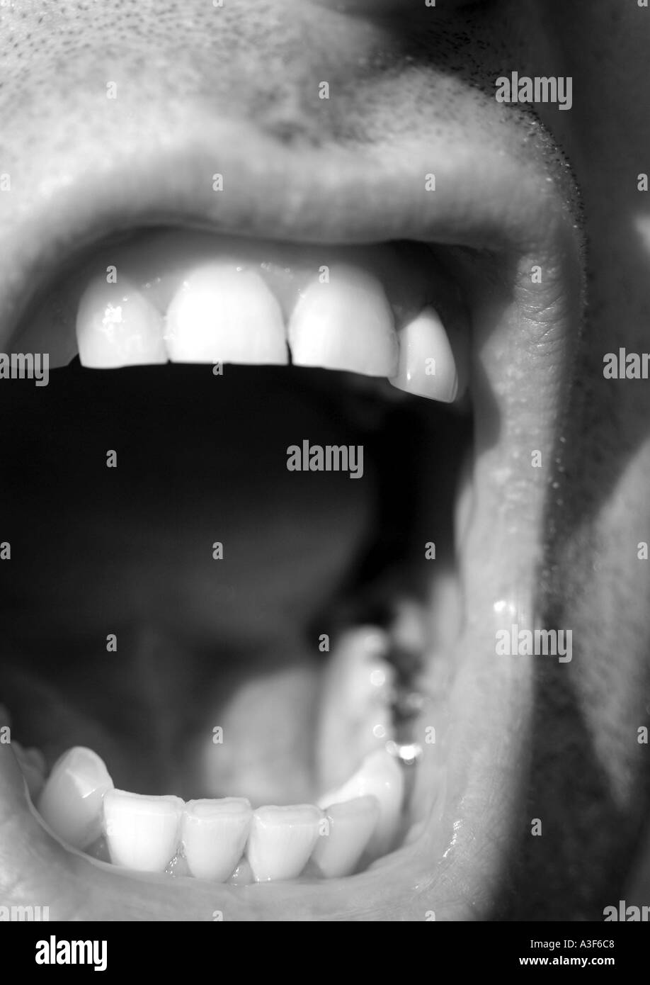 mouth teeth Stock Photo