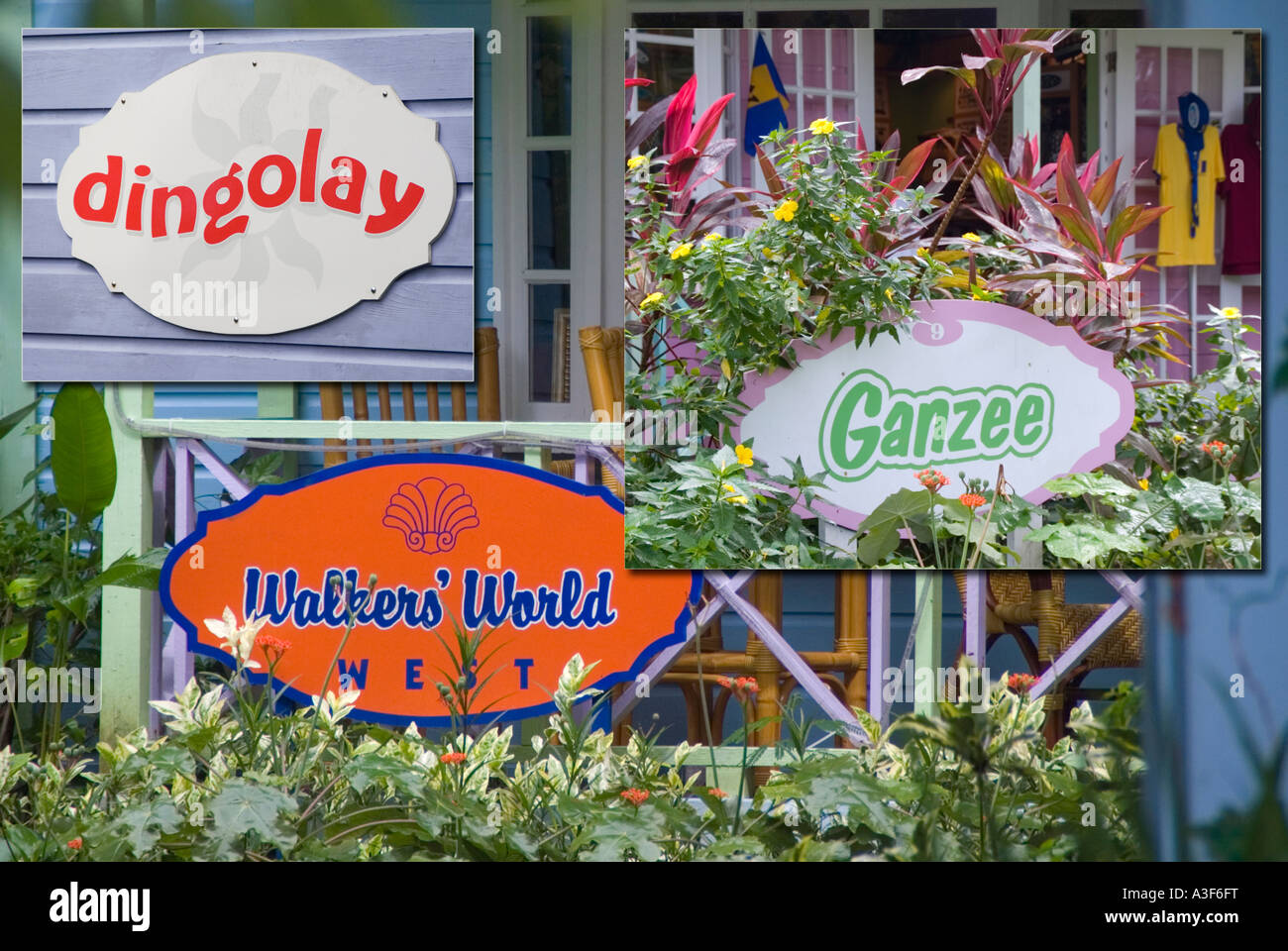 Barbados local Bajan brand name Dingolay fashions Ganzee T shirts and  sports wear Walkers World art and crafts Stock Photo - Alamy