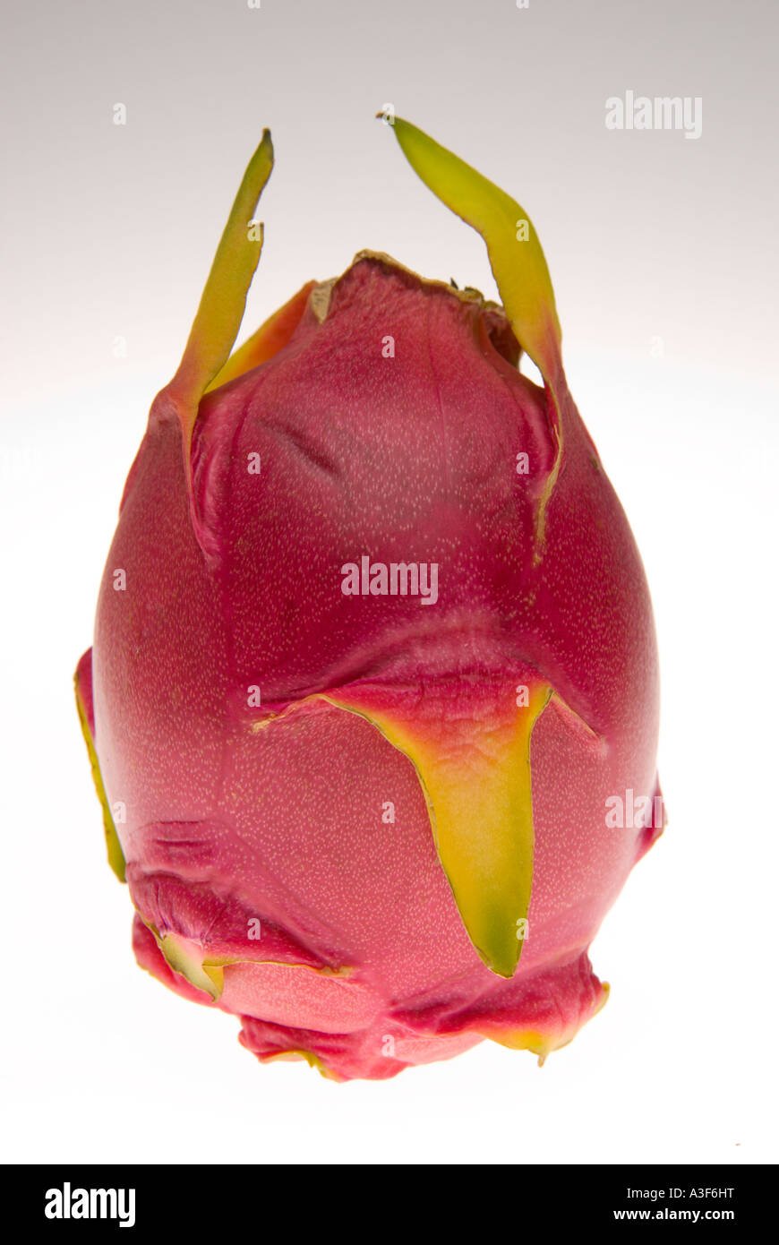 Dragonfruit or strawberry pear S E Asian cactus fruit pitaya Stock Photo