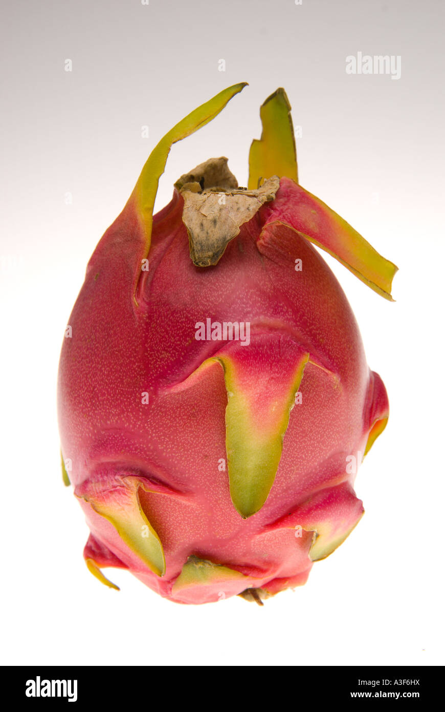 Dragonfruit or strawberry pear S E Asian cactus fruit pitaya Stock Photo