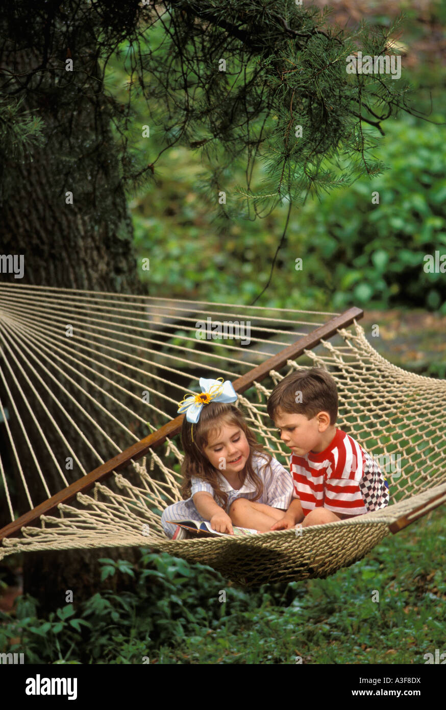 Young Brother and Sister Looking At Book while Sitting in Hammock United States Stock Photo
