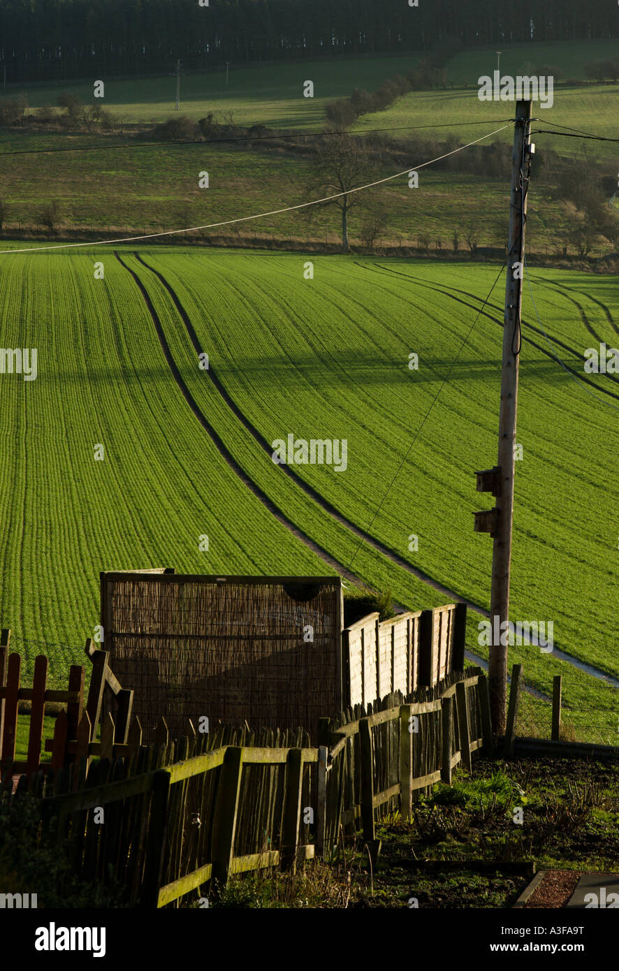 A ploughed and planted field in January near Denholm Scottish Borders