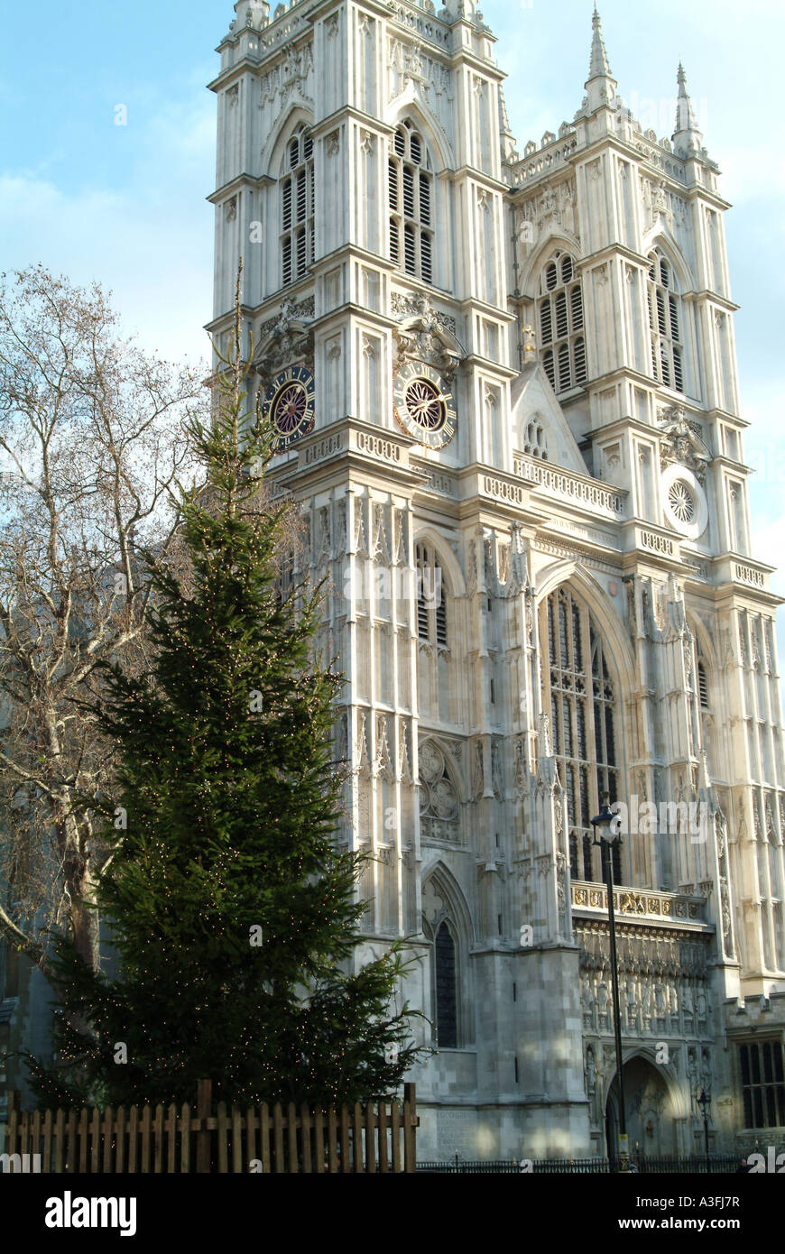 Westminster abbey christmas tree london hires stock photography and