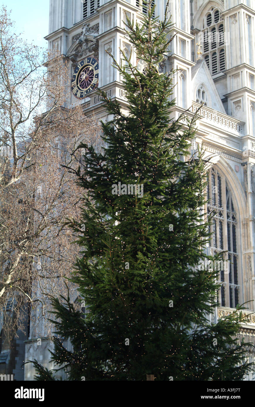 Westminster Abbey with a Christmas tree London Stock Photo Alamy