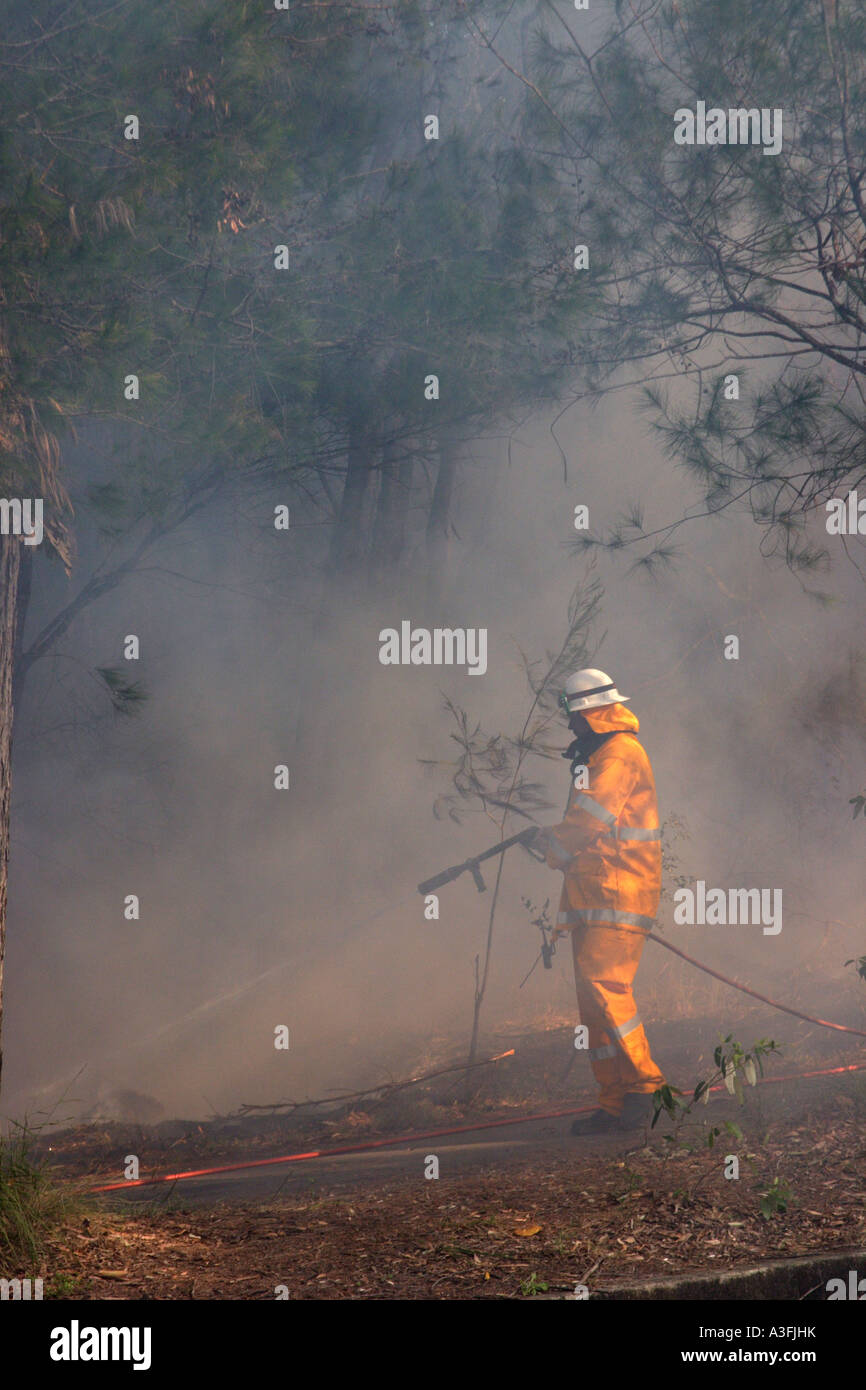 STATE EMERGENCY SERVICE VOLUNTEERS FIGHTING A BUSHFIRE VERTICAL ...