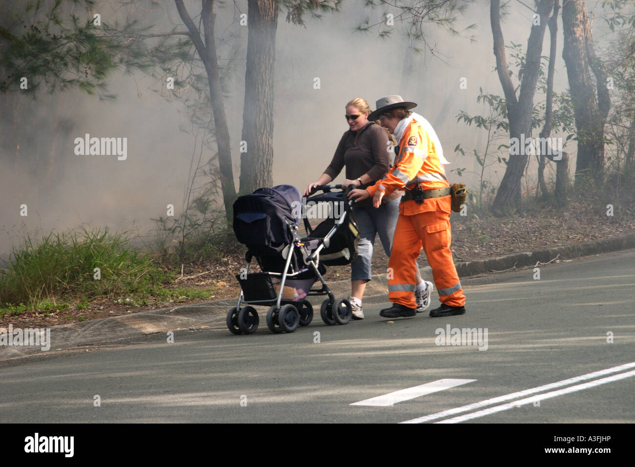 STATE EMERGENCY SERVICE VOLUNTEERS FIGHTING A BUSHFIRE HORIZONTAL ...