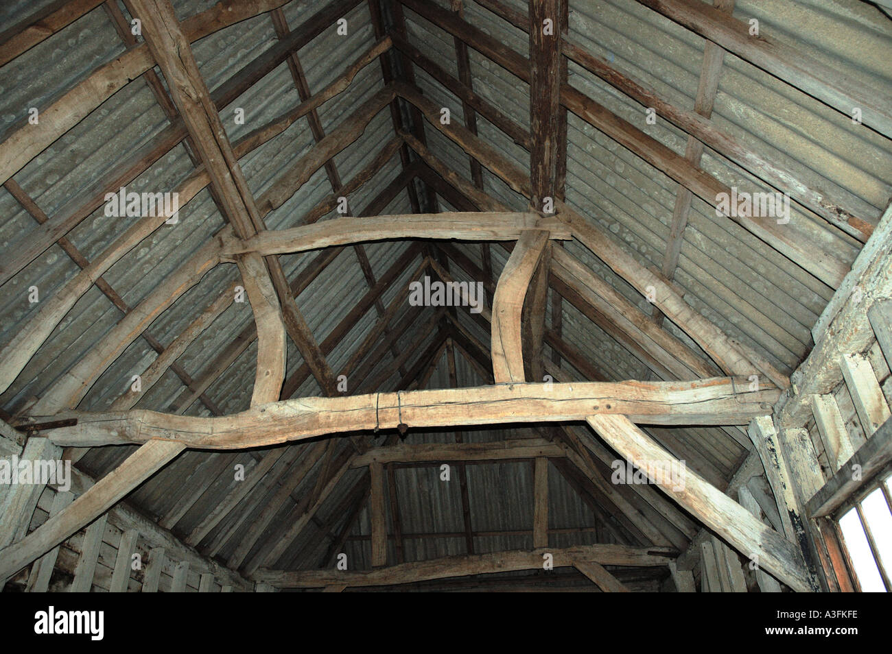 Interior Roof Construction Of Historic Barn With Oak Framing Stock