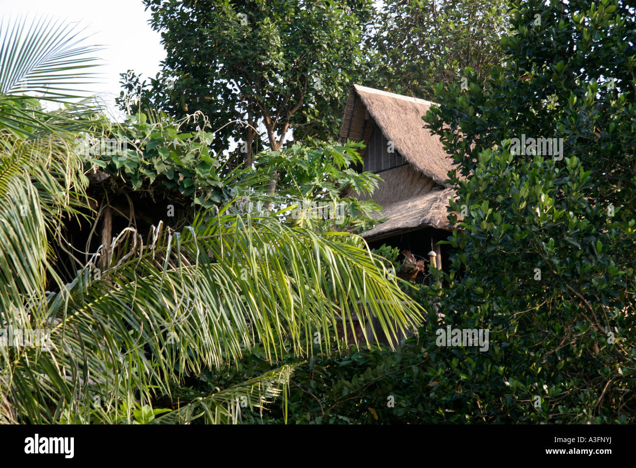 Vietnam soldiers jungle hi-res stock photography and images - Alamy