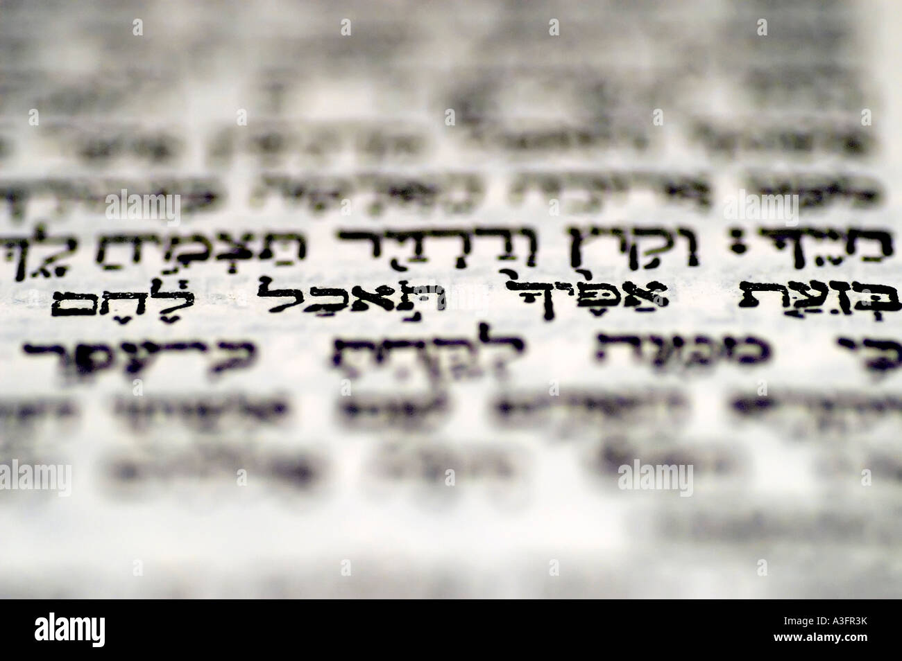 Genesis 19 in the sweat of face shalt eat bread a close up of the Hebrew in The book of Genesis Stock Photo - Alamy