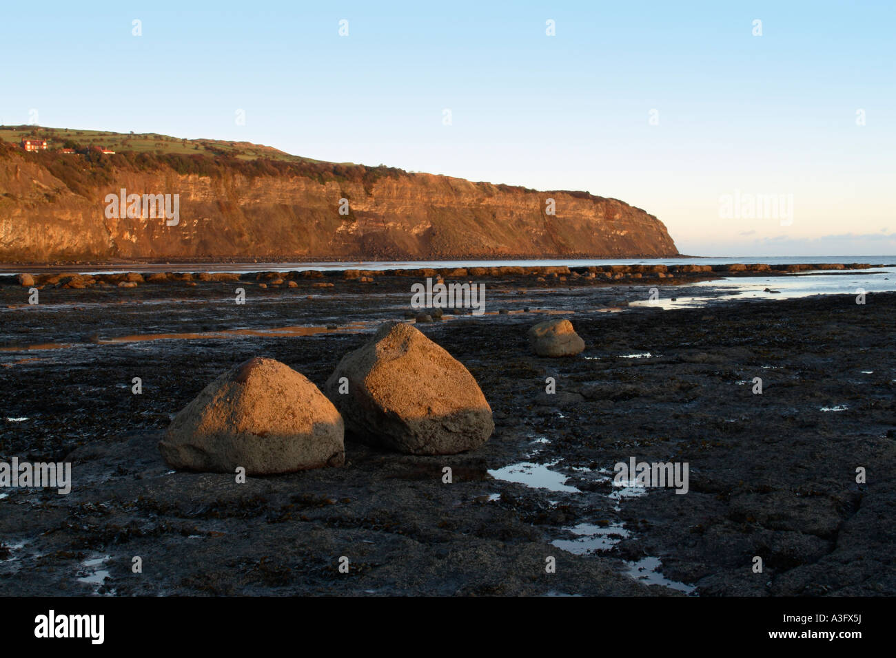 Tide out at Robin Hoods Bay looking over wave cut shelf towards Ness Point at the north end of bay also called North Cheek Stock Photo