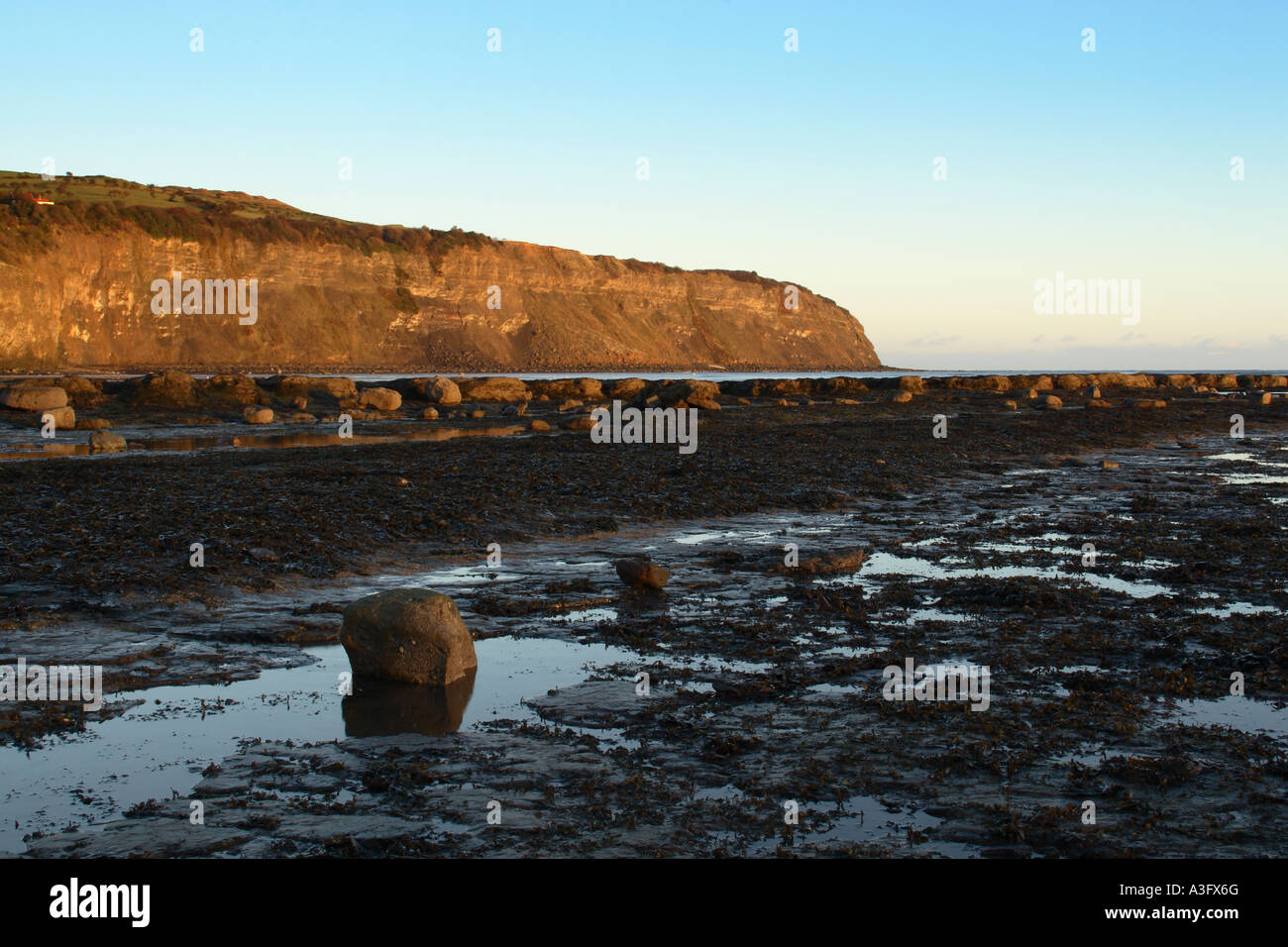 Robin Hoods Bay at low tide looking across rock platform and seaweed