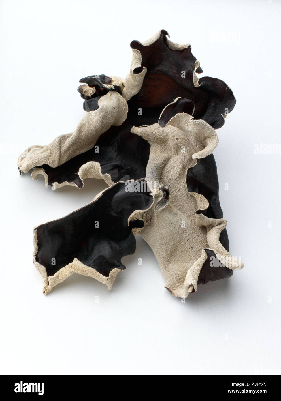 Dried wood ear mushrooms vegetarian ingredients editorial food Stock