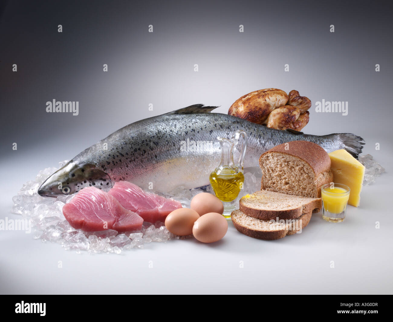 Organic protein group with salmon tuna chicken eggs cheese editorial