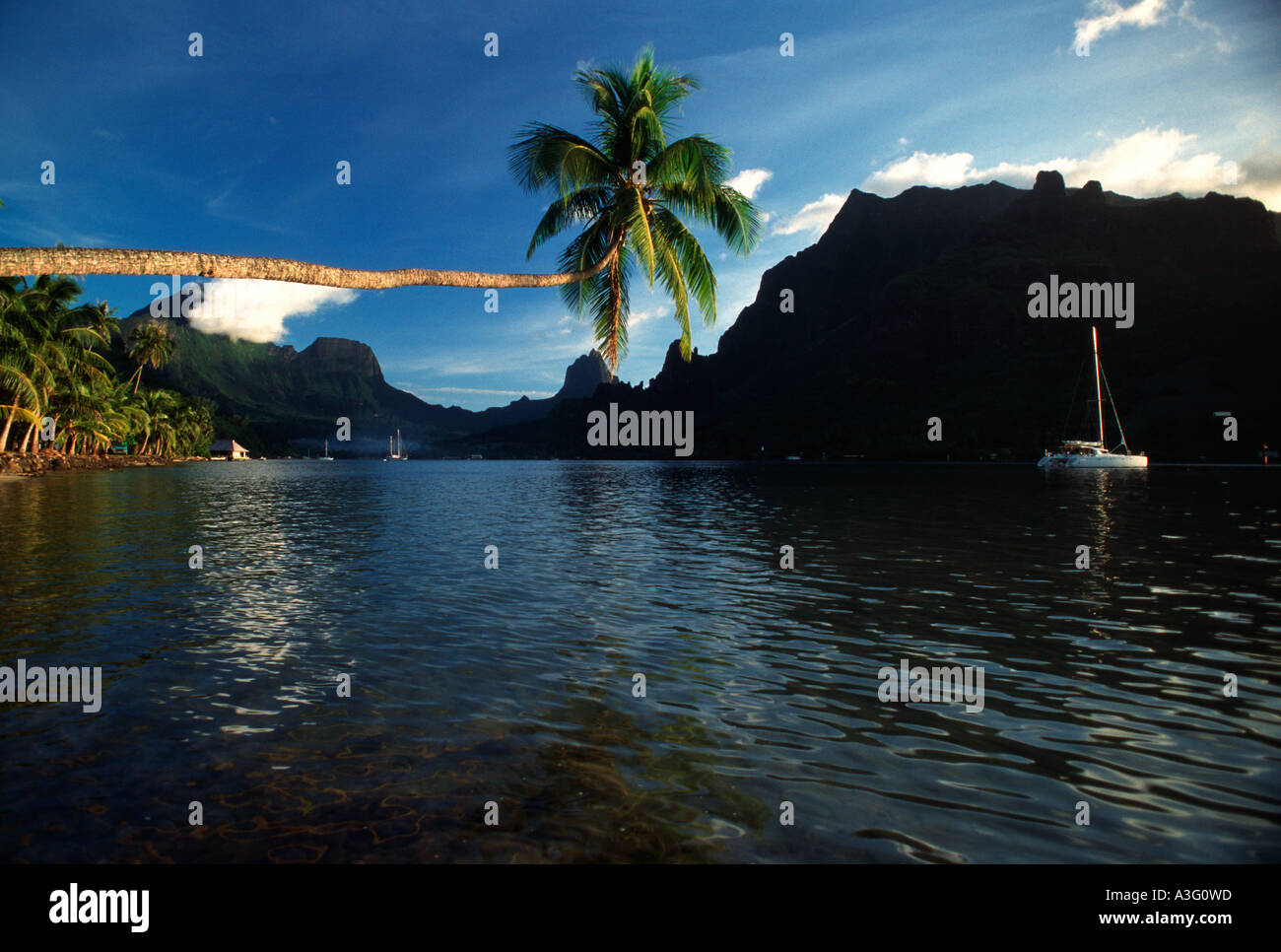 Cooks Bay Moorea Stock Photo