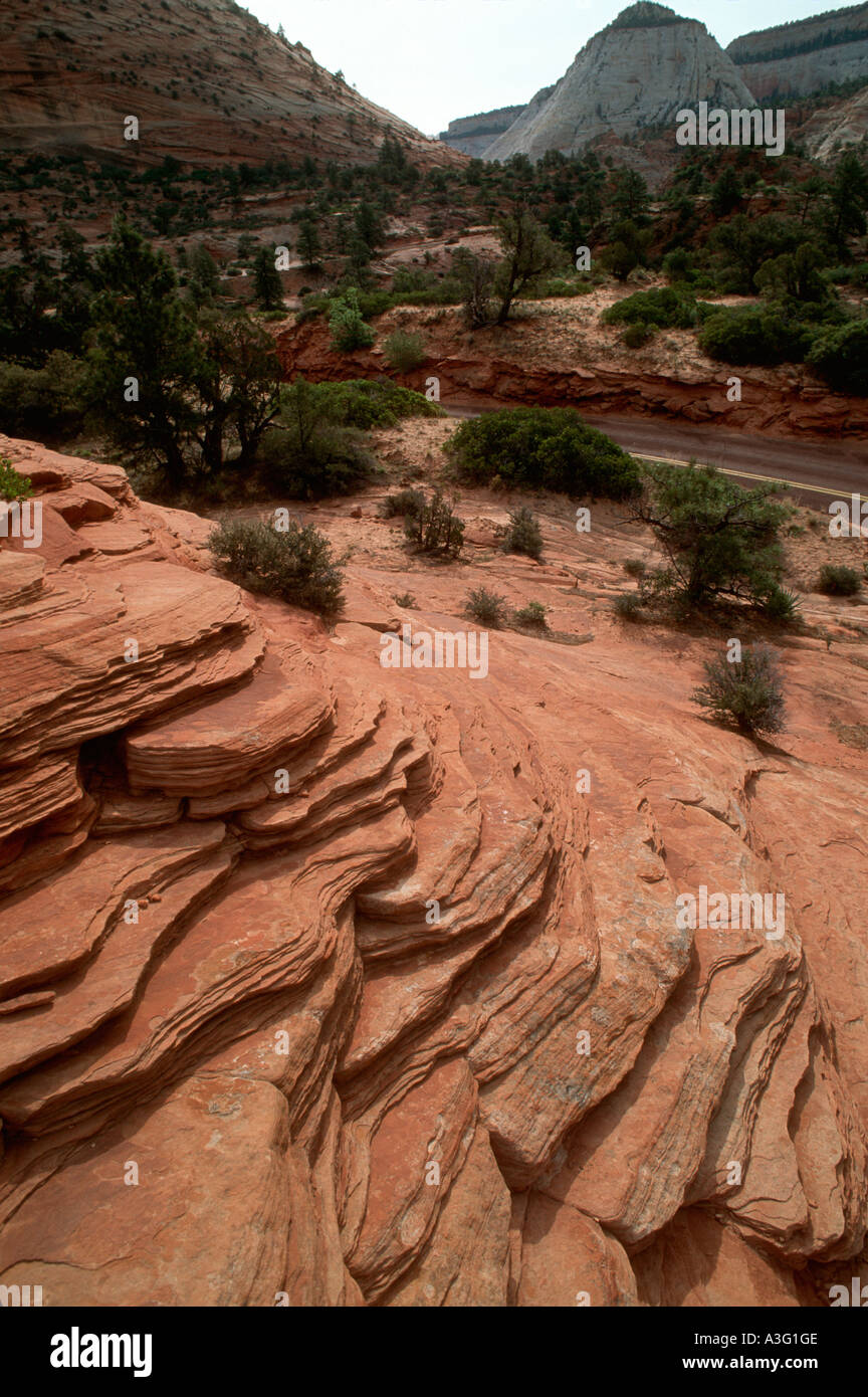 Sandstone ridges Zion National Park Utah Stock Photo