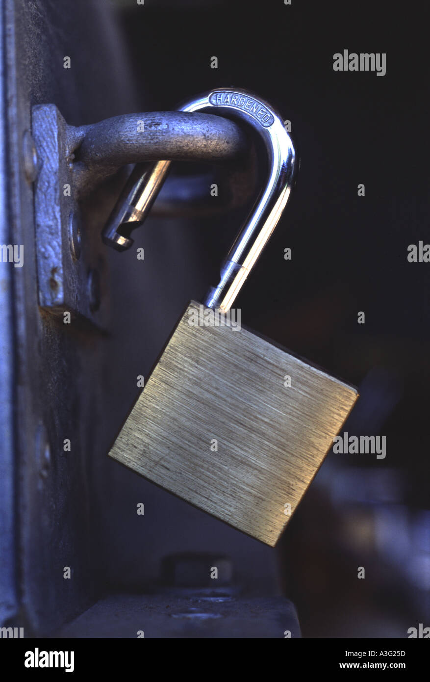 open padlock resting in hasp and staple brass bodu and steel latch Stock Photo
