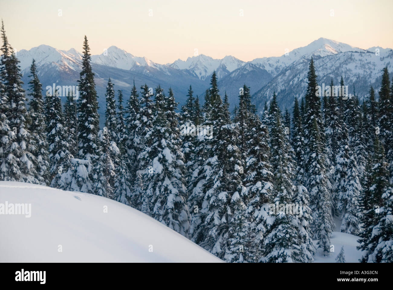 Winter in the Olympic Mountains Washington State USA Stock Photo - Alamy