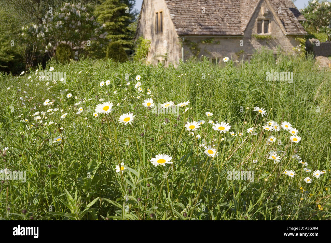 A cottage facing the village green in the Cotswold village of Little