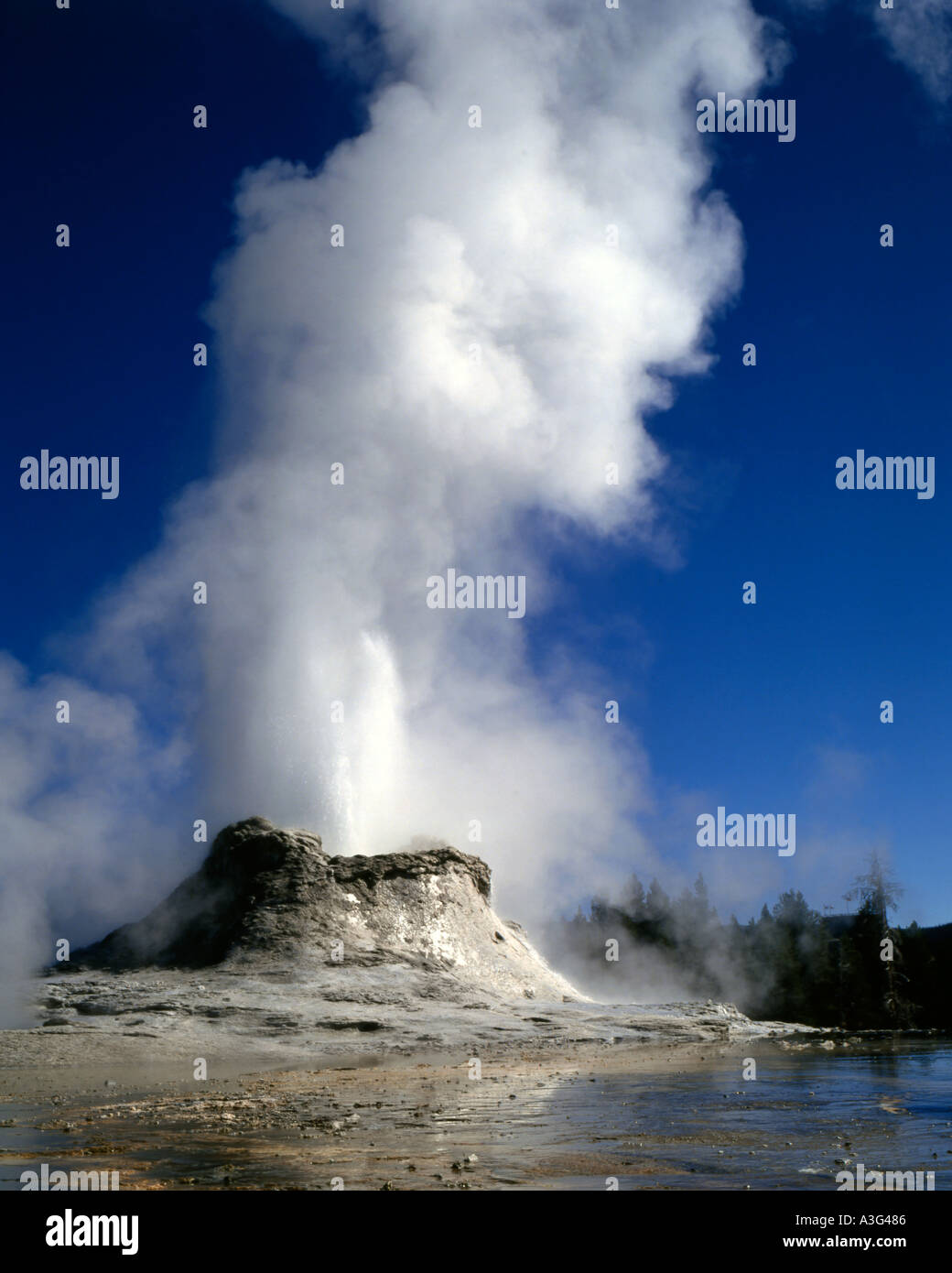 Castle Geyser in Yellowstone National Park erupting with hot water and ...