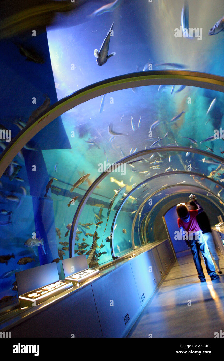 aquarium bottom of the sea seabed floor ocean bed fish aquarium Stock ...