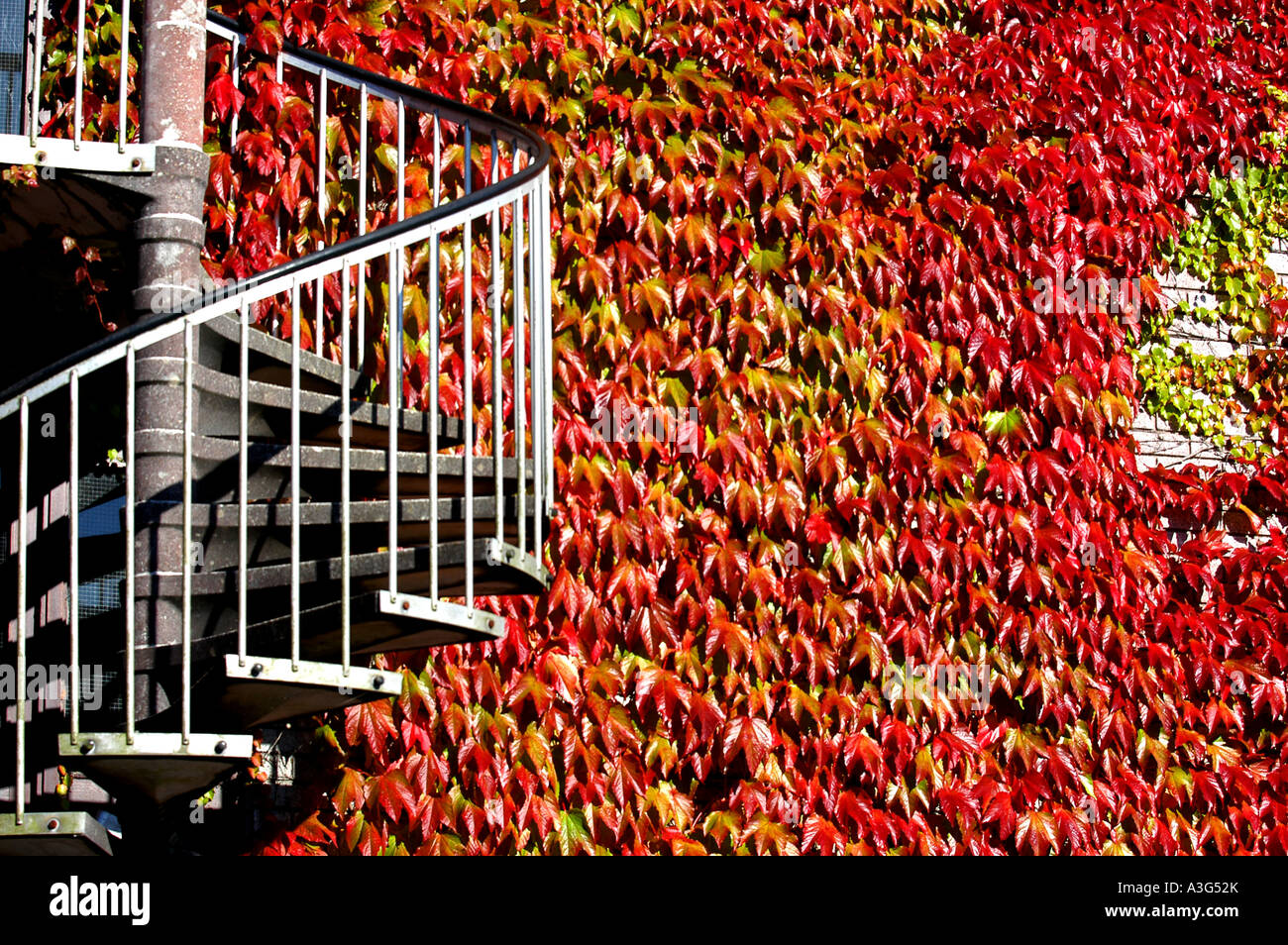 Riot Of Colour High Resolution Stock Photography and Images - Alamy
