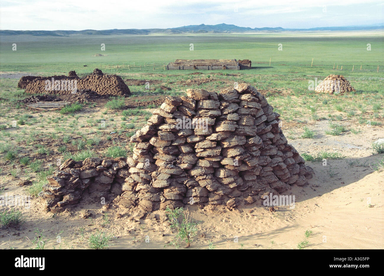 Argal (fuel made of dung). Altan Els Desert (Boorog Deliin Els Desert). Uvs aimag (province). Mongolia Stock Photo