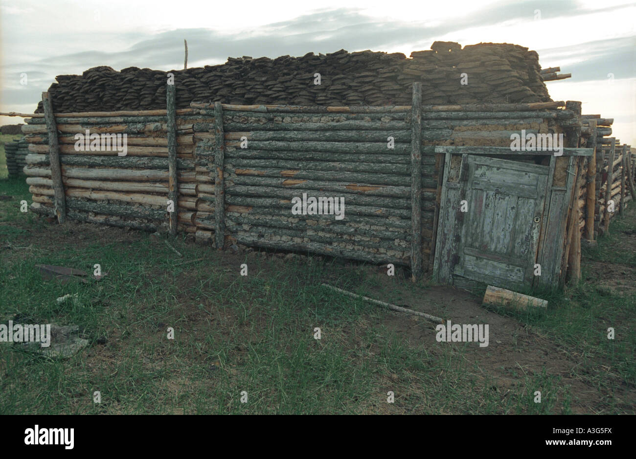 Argal (fuel made of dung) is drying on shed’s roof. Altan Els Desert (Boorog Deliin Els Desert). Uvs aimag (province). Mongolia Stock Photo