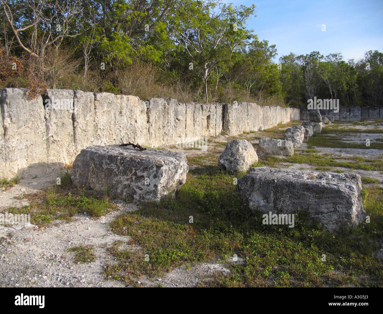 Windley Key Fossil Reef State Geological Park Stock Photo Alamy