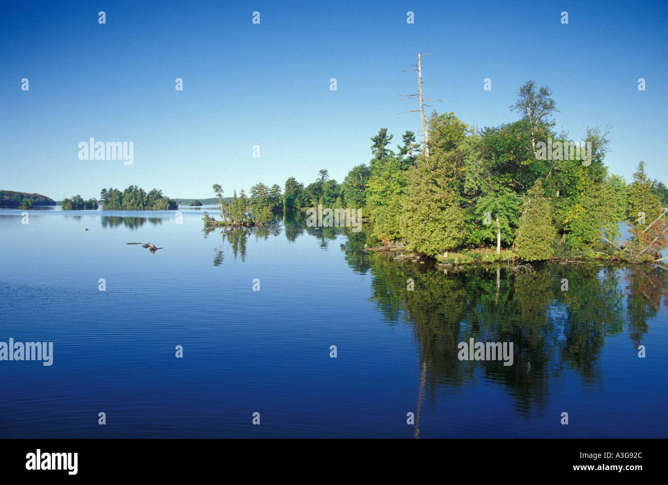 Lower Buckhorn Lake, Kawartha Lake District, Ontario, Canada Stock