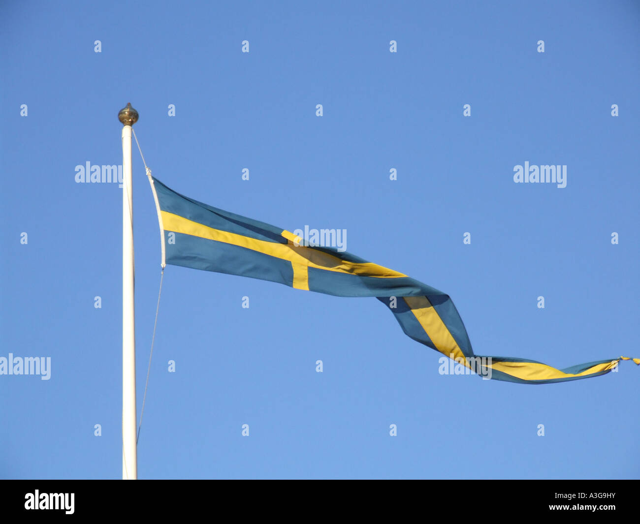swedish flag in gothenburg Stock Photo Alamy