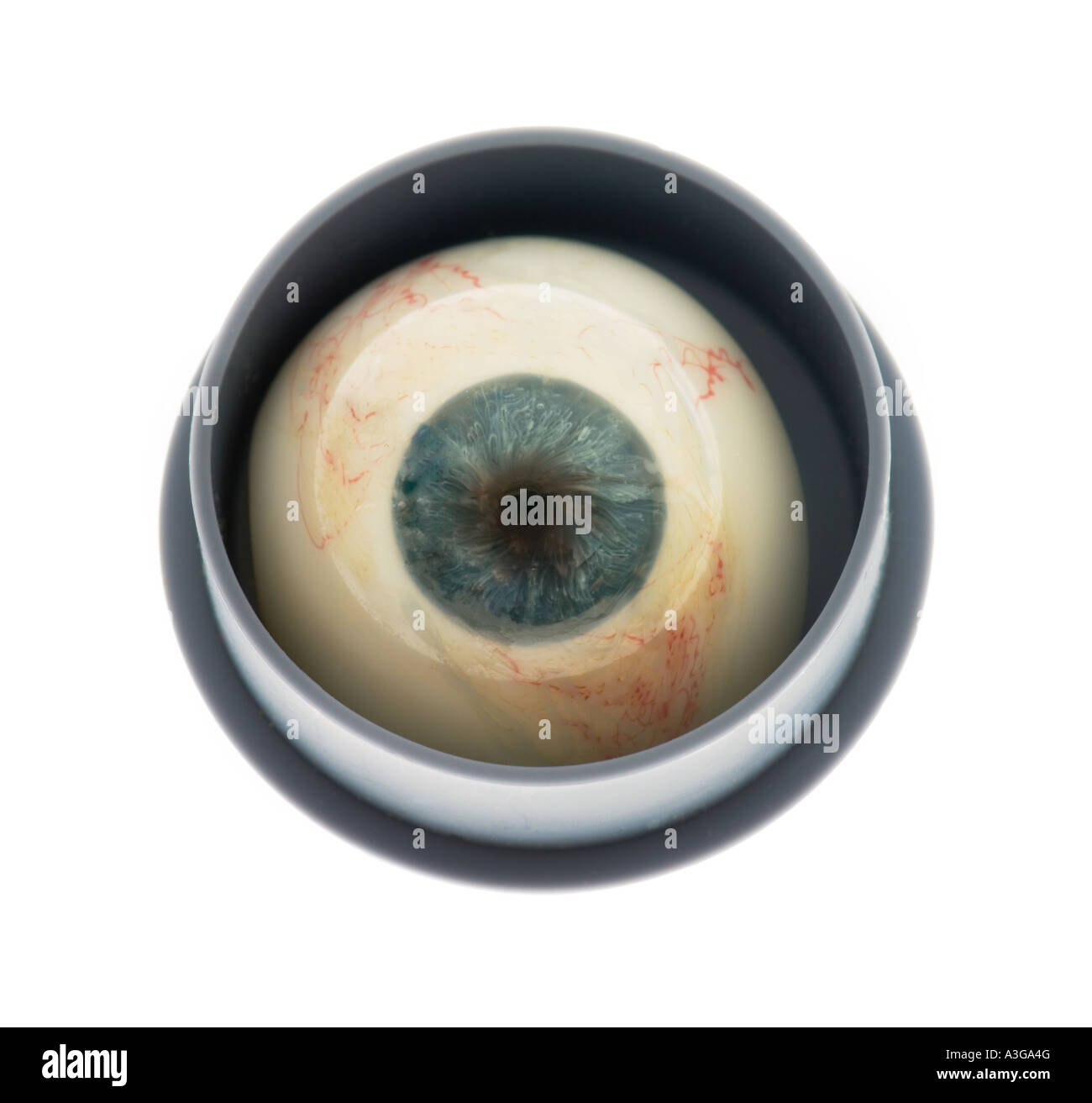 Artificial Eye (Ocular Prosthetic Eye )