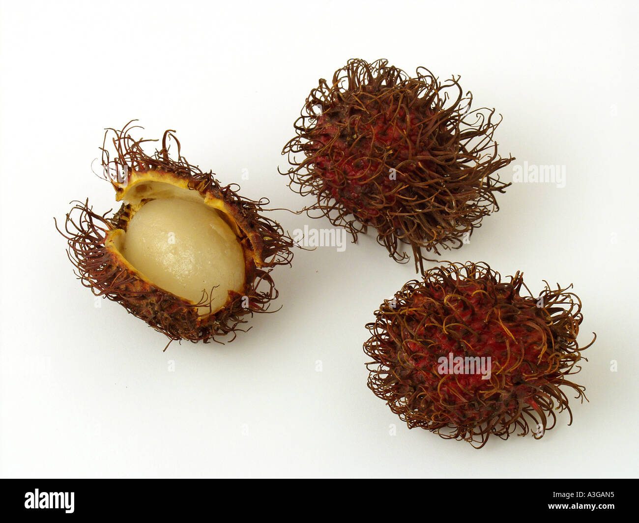 Shot rambutan fruit hi-res stock photography and images - Alamy