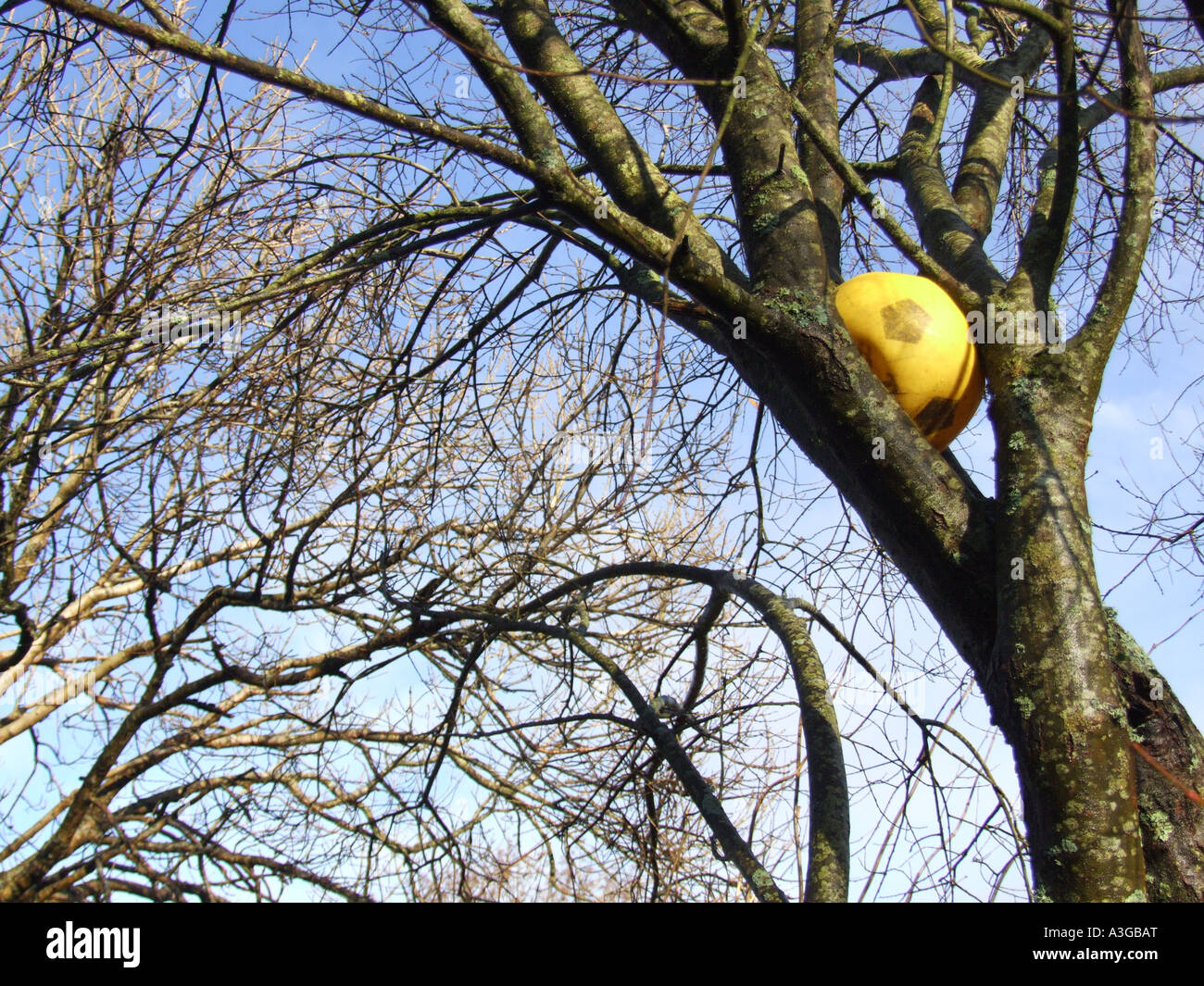 Child ball stuck tree hires stock photography and images Alamy