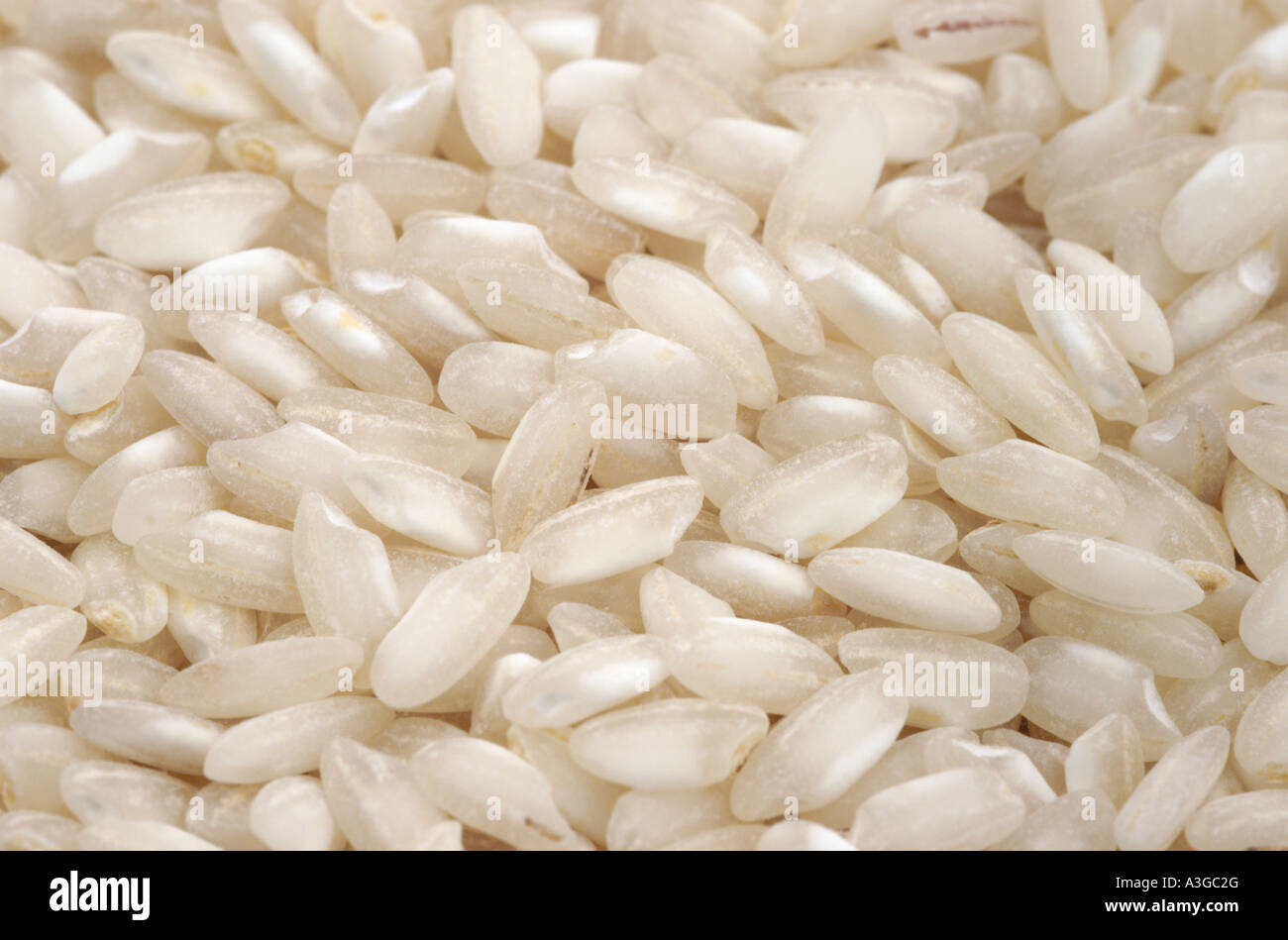 Carnaroli rice, commonly used in risotto Stock Photo Alamy