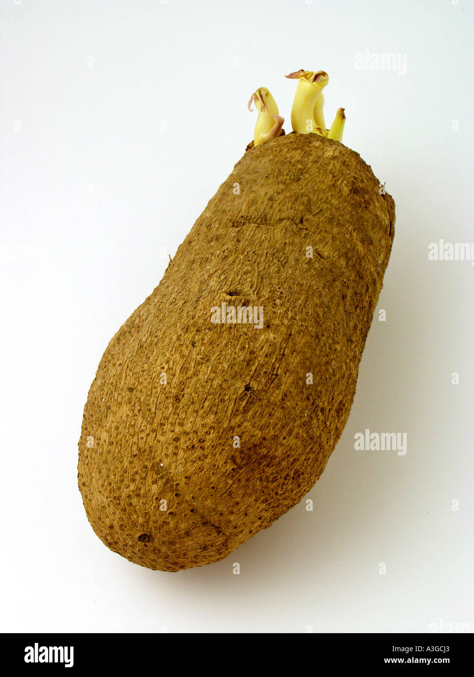 Yam Stock Photo - Alamy