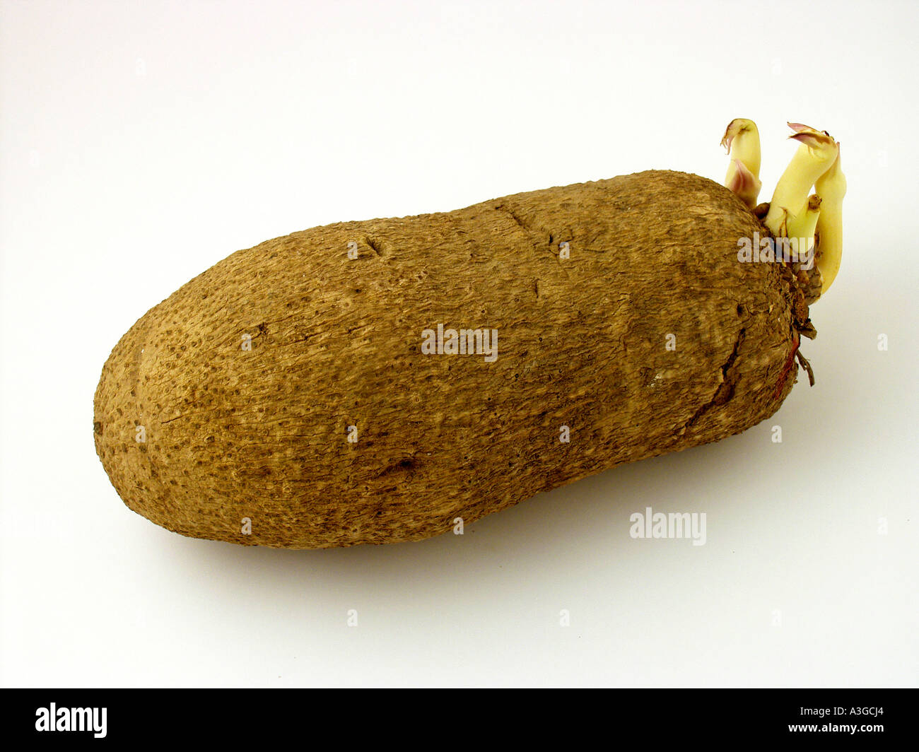 Yam Stock Photo - Alamy