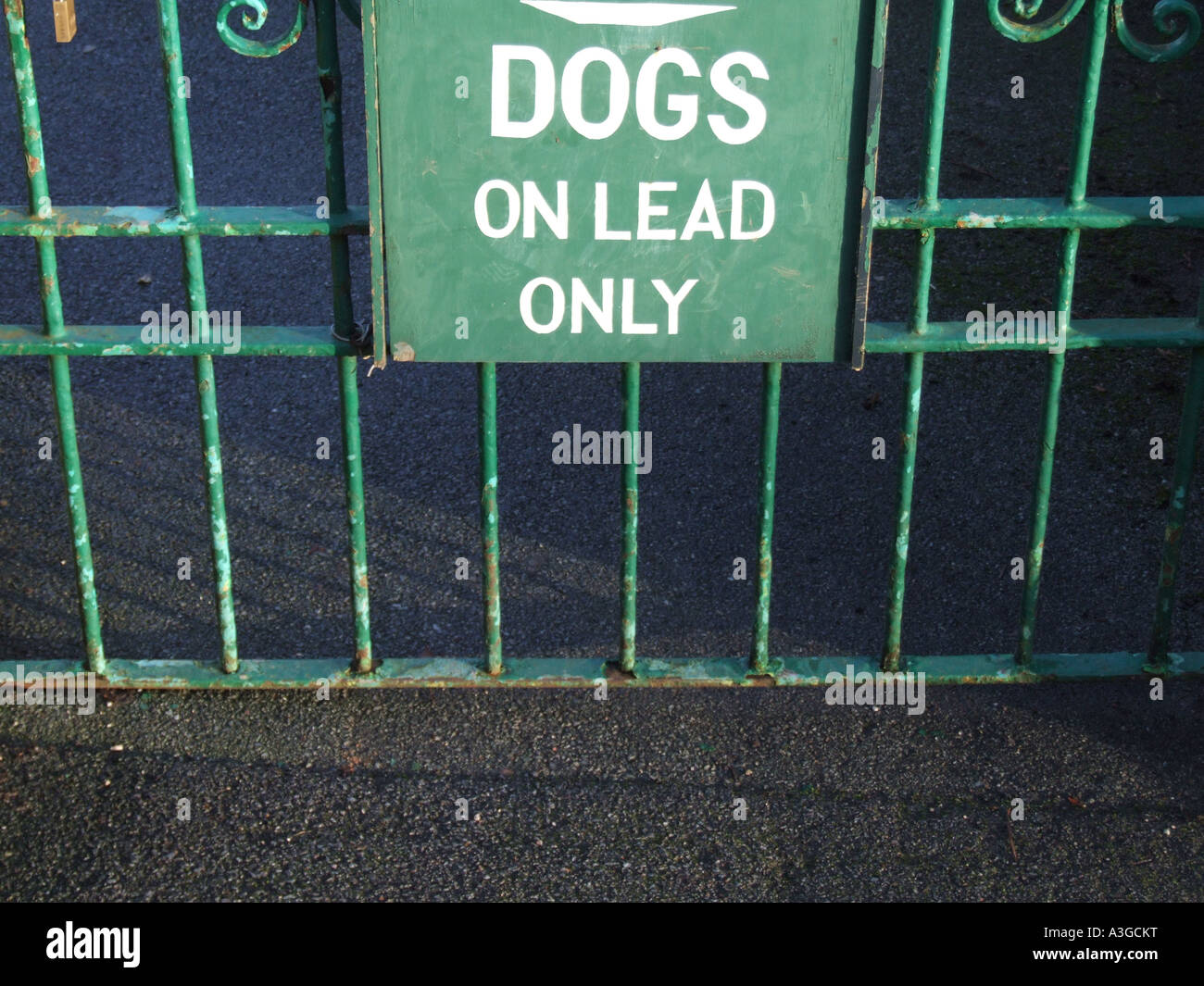 keep dog on a lead sign Stock Photo Alamy