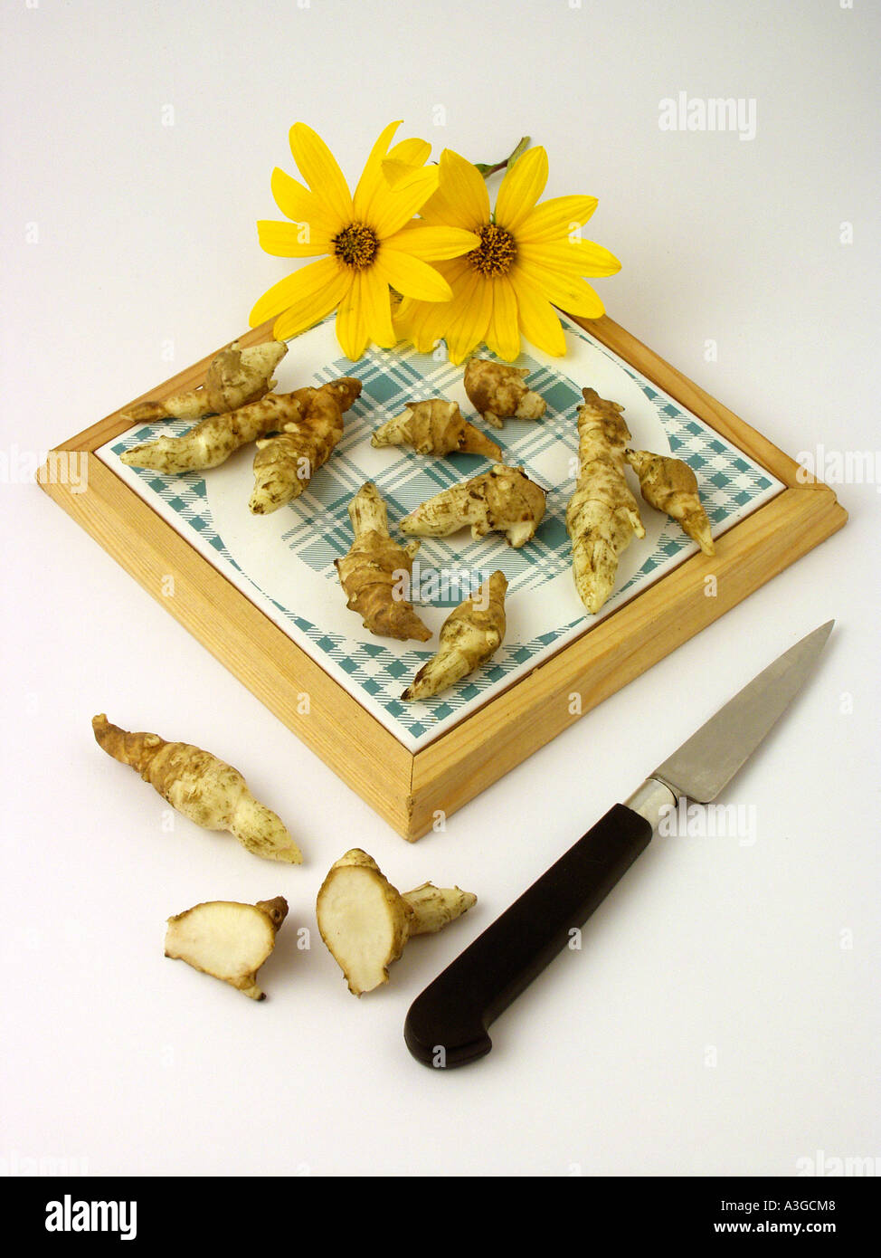 Jerusalem artichoke Helianthus tuberosus Stock Photo