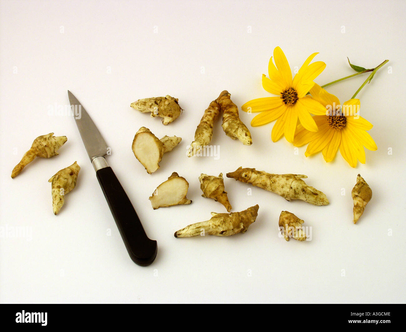 Jerusalem artichoke Helianthus tuberosus Stock Photo
