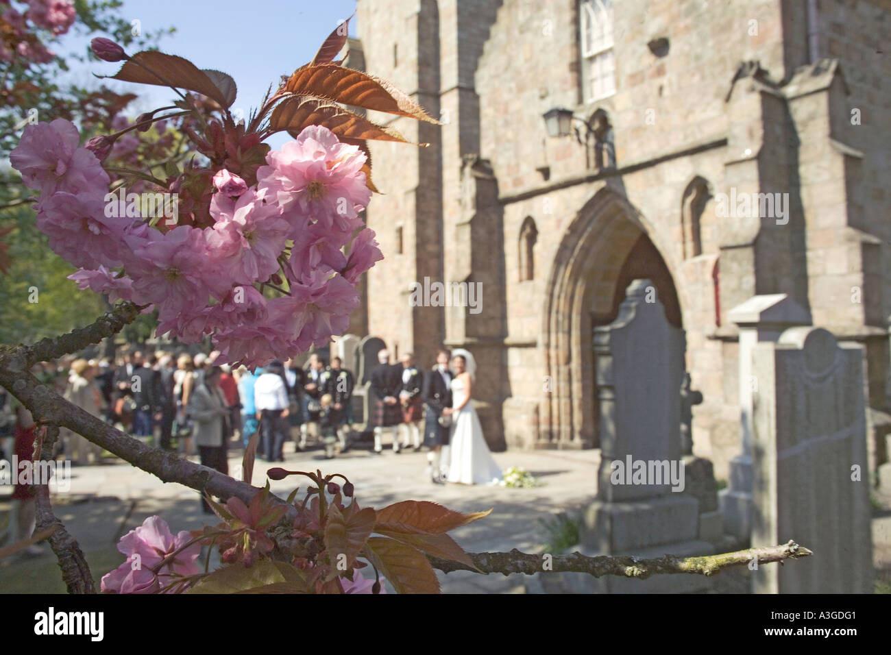 Bride and groom guests church hi-res stock photography and images - Alamy